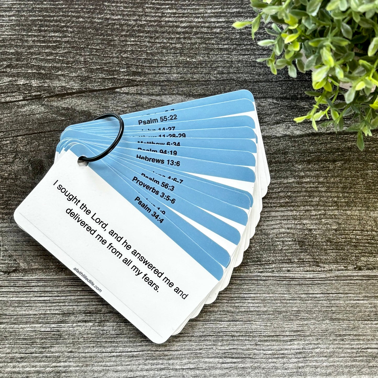 Set of prayer cards with blue and white design on a wooden surface with a plant in the corner.