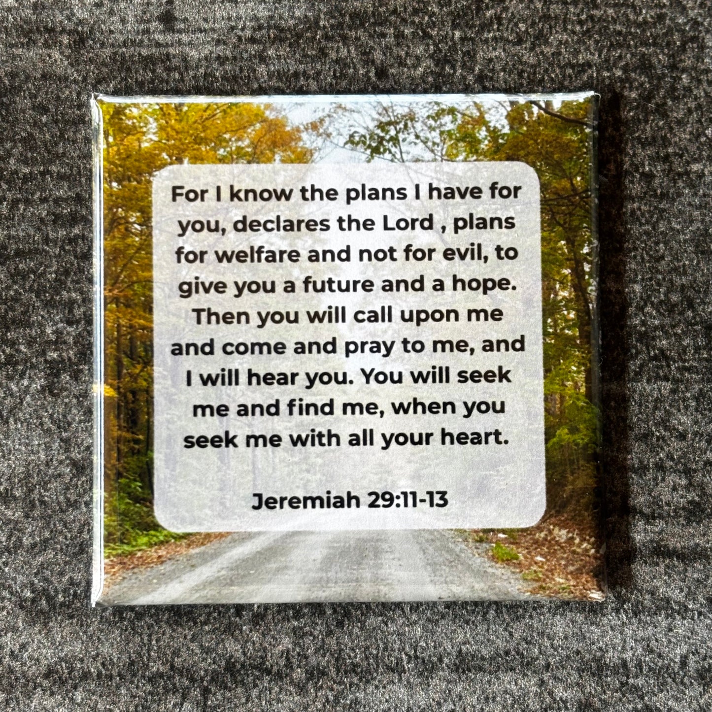 Scripture Magnet Set