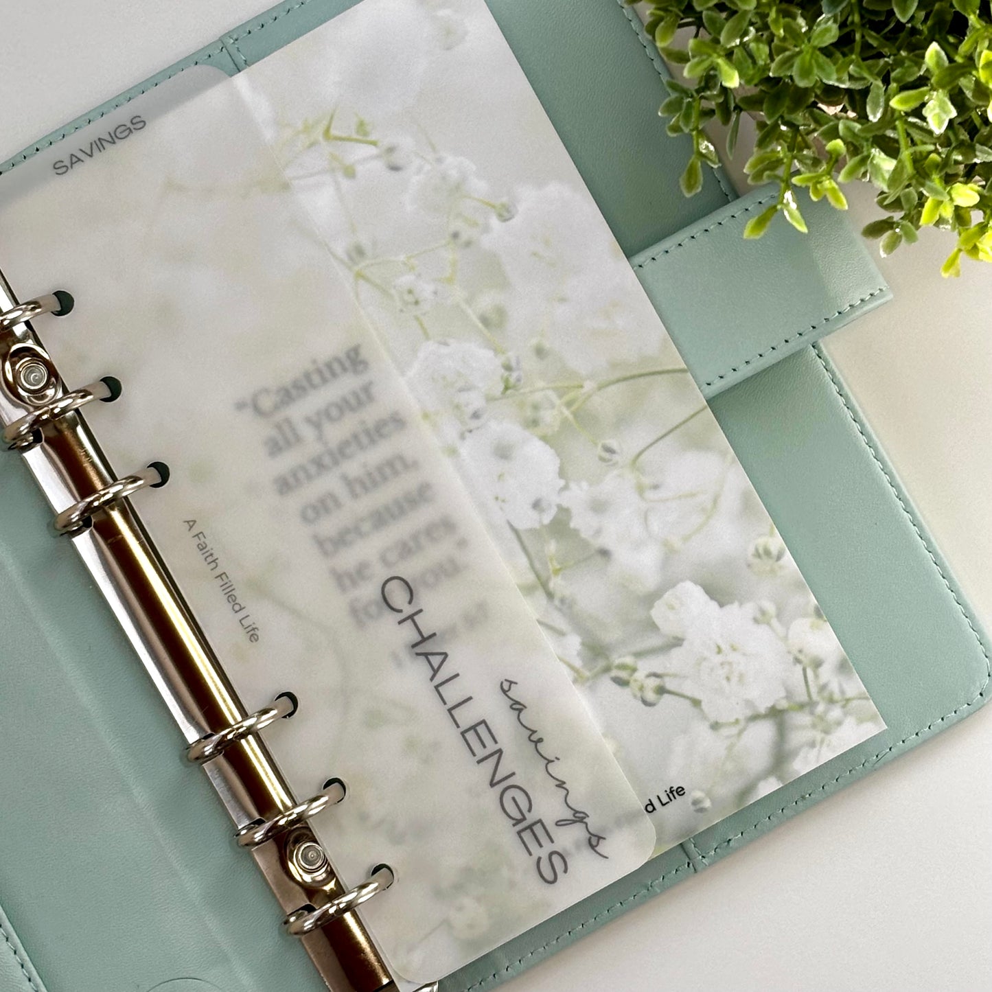 A6 Frosted Binder Bookmarks – Rooted Collection