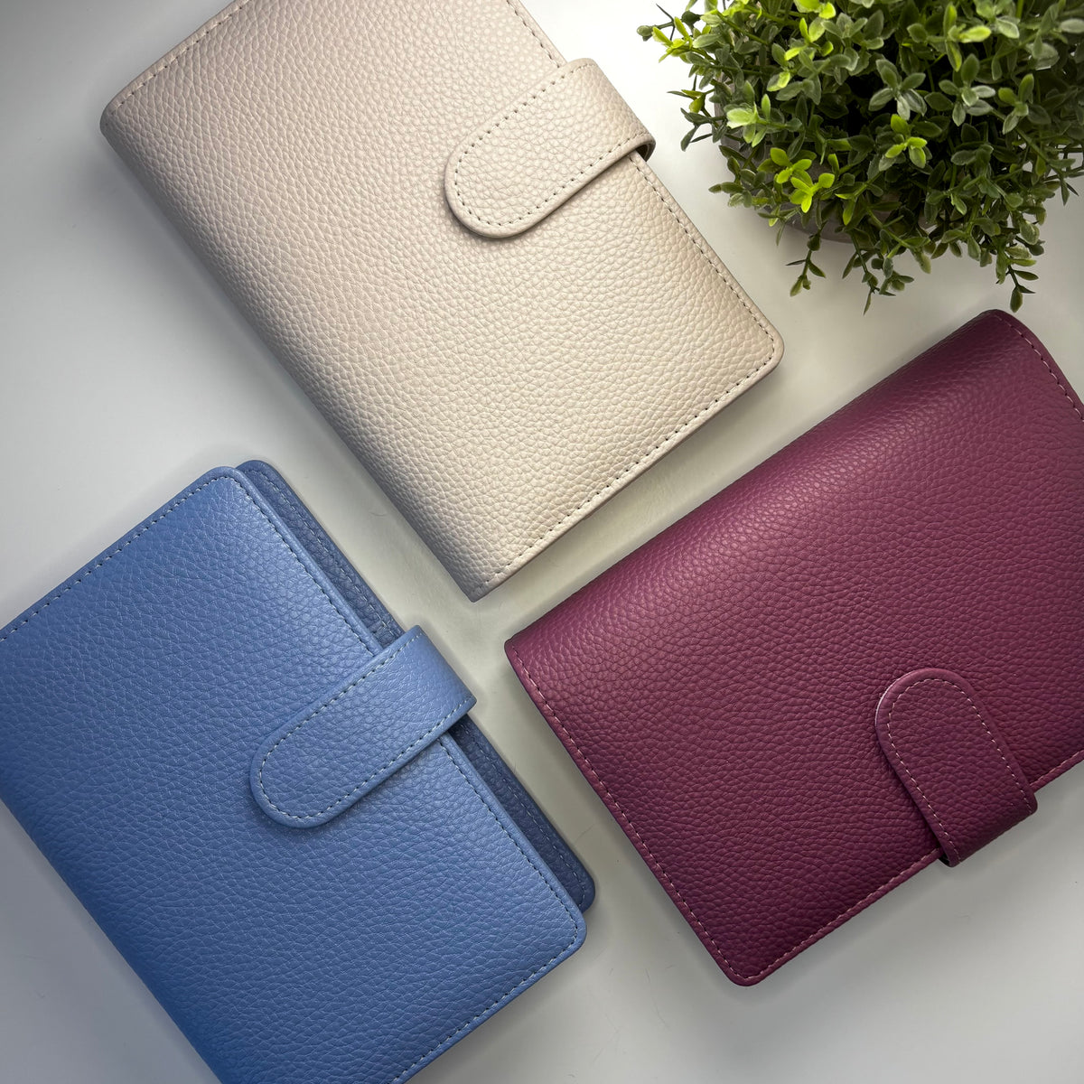 A6 Pebbled Leather Budget Binder