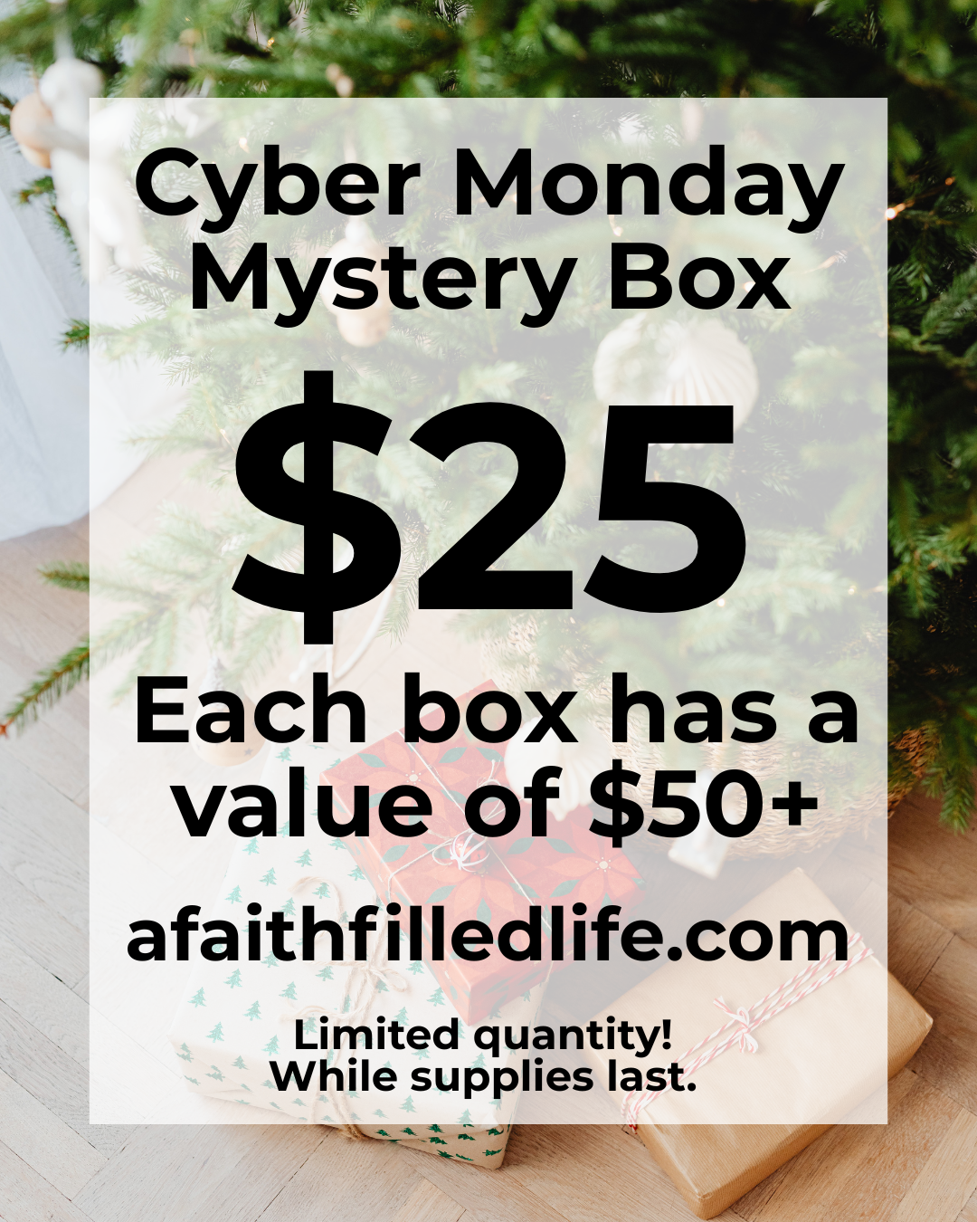 Cyber Monday Mystery Box