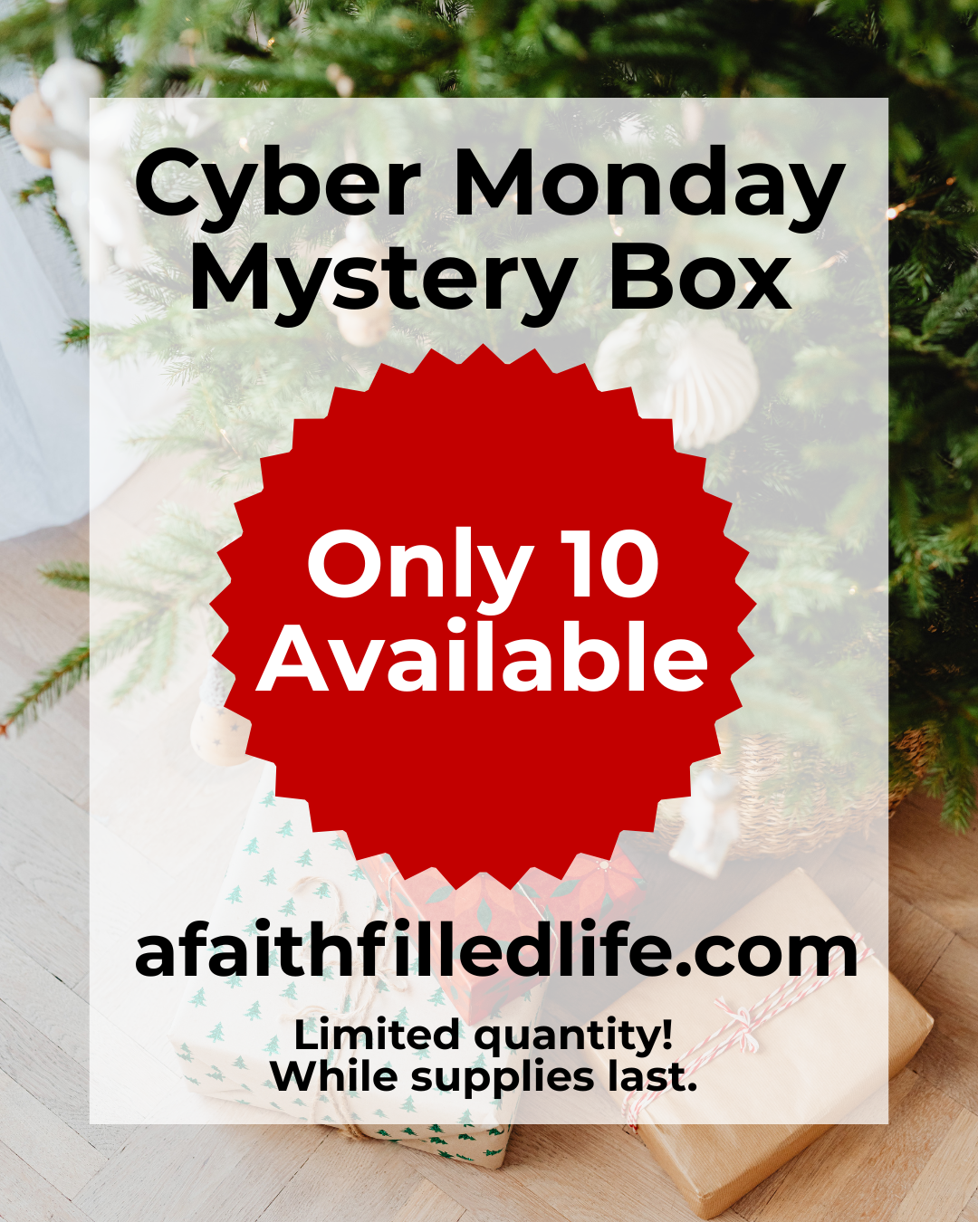 Cyber Monday Mystery Box