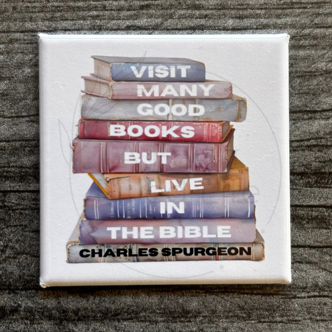 Visit Many Good Books But Live In The Bible Magnet