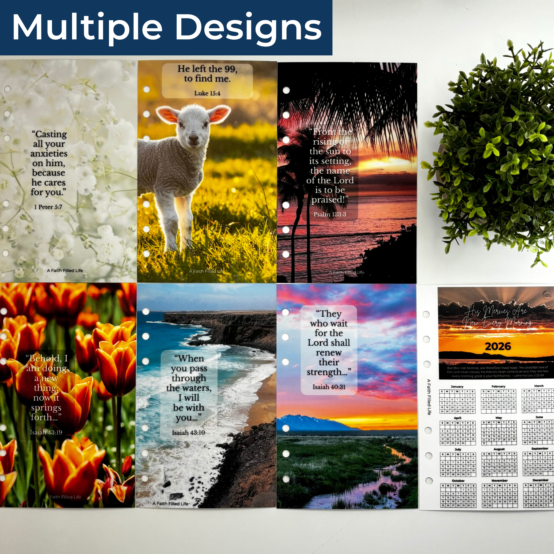 A6 Scripture Dashboards