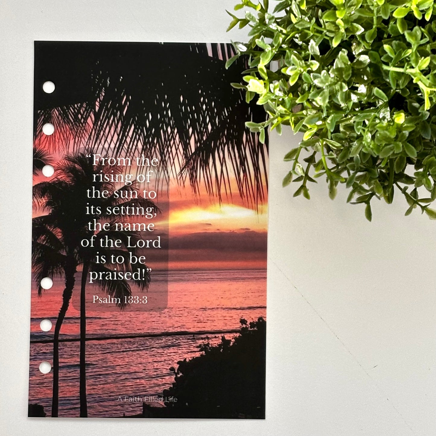 A6 Scripture Dashboards – Rooted Collection