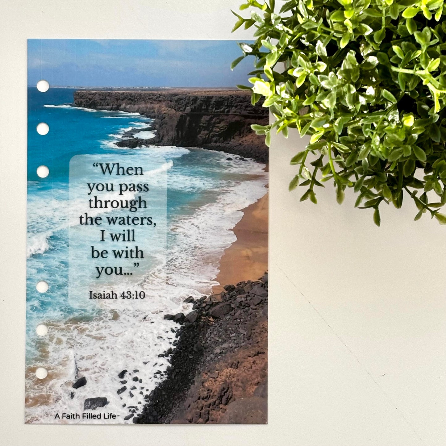 A6 Scripture Dashboards – Rooted Collection