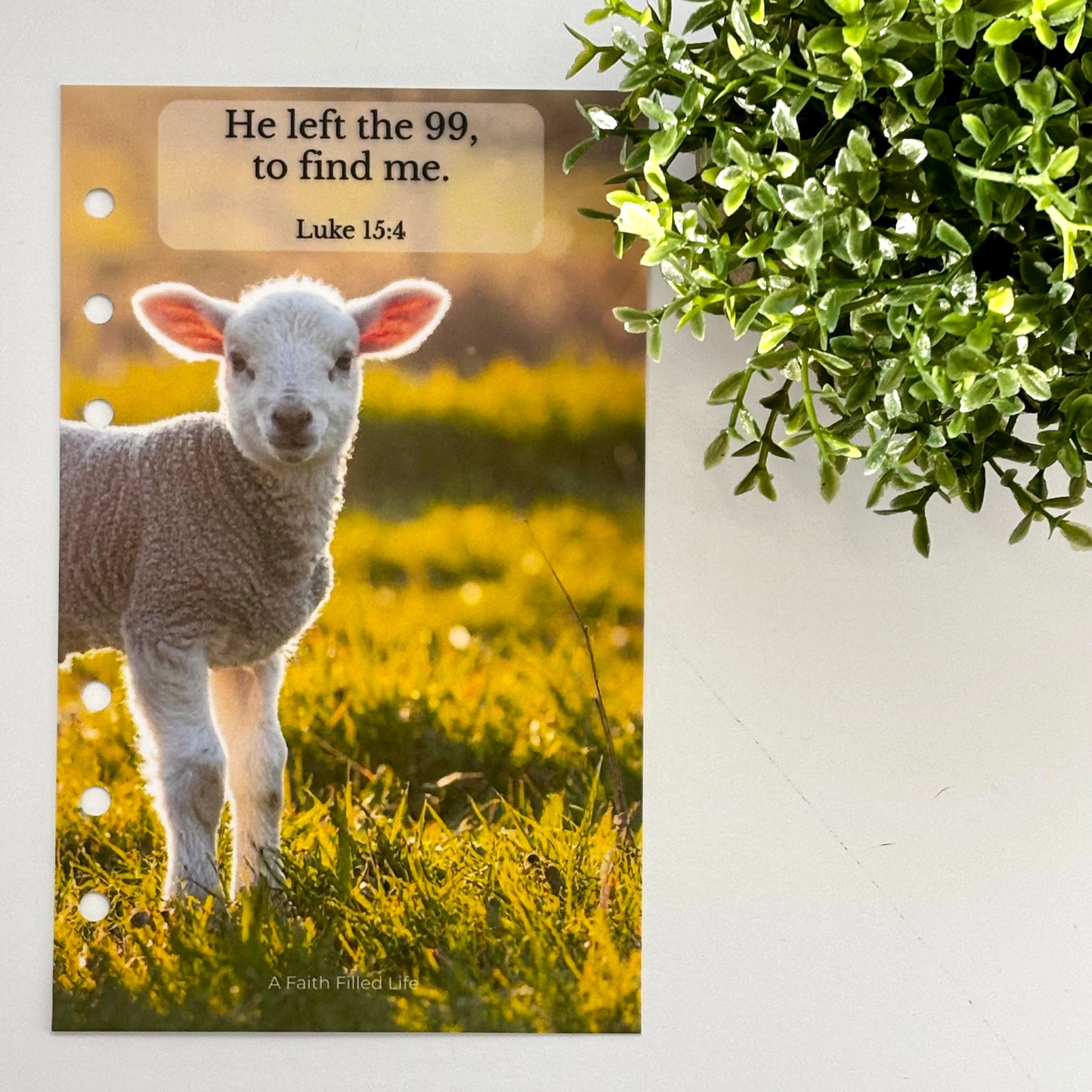 A6 Scripture Dashboards – Rooted Collection