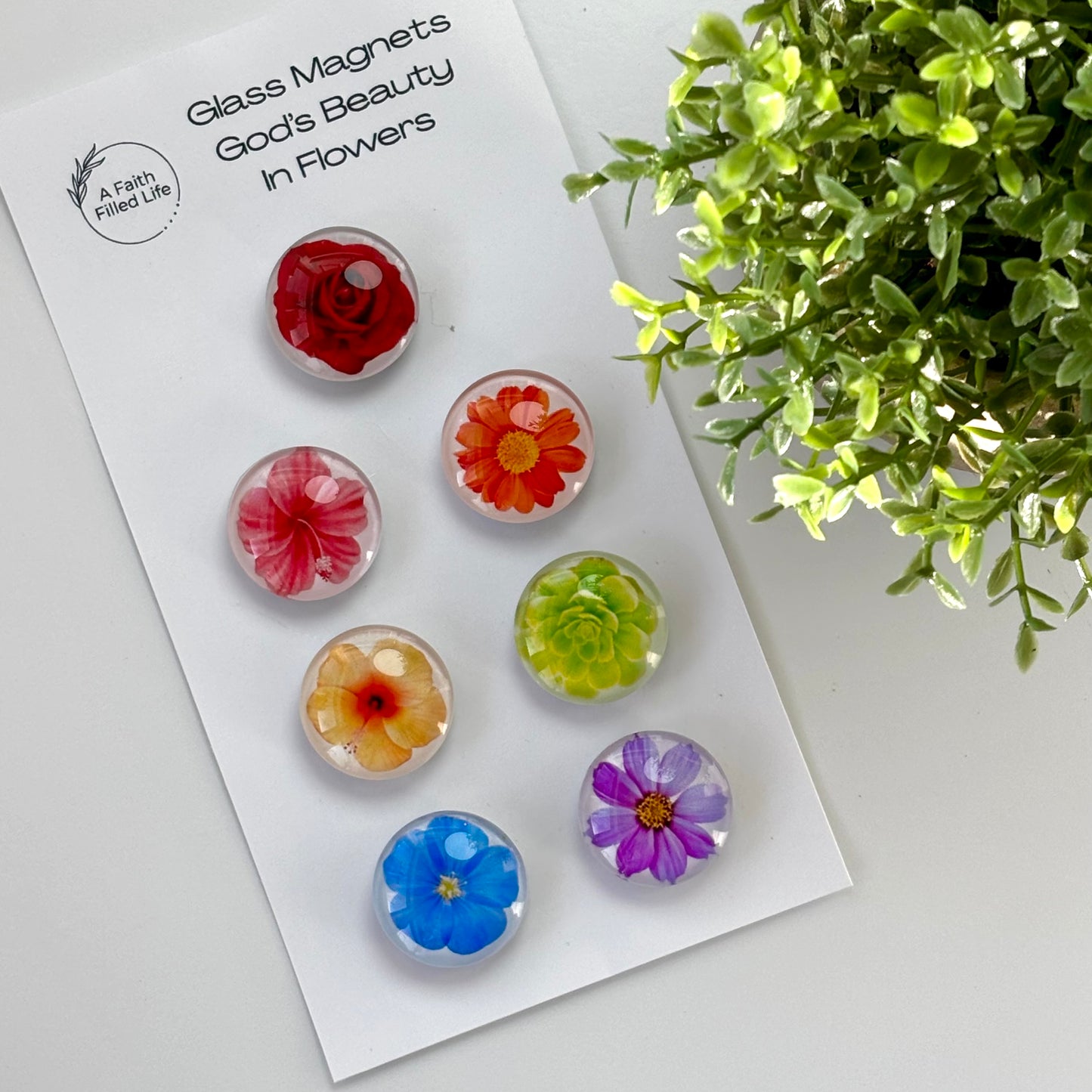 God's Beauty Glass Cabochon Magnets (Set of 7)