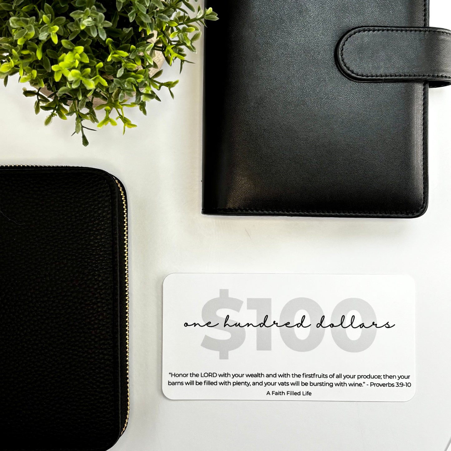 A6 Placeholders - Rooted Collection