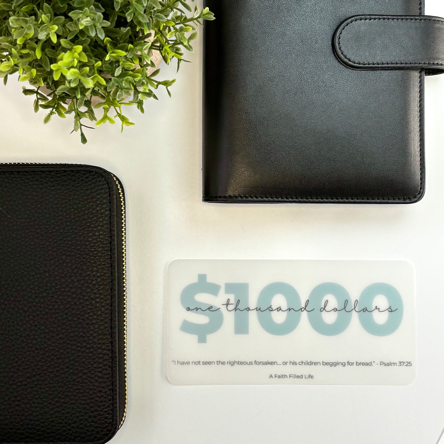 A6 Placeholders - Rooted Collection