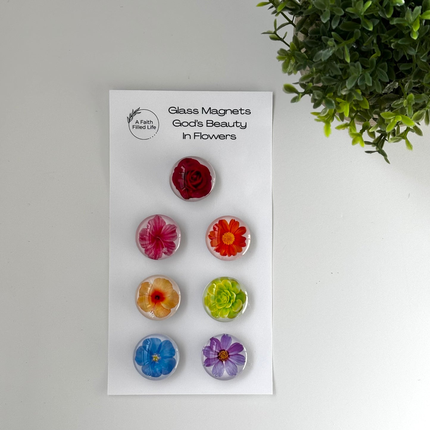 God's Beauty Glass Cabochon Magnets (Set of 7)