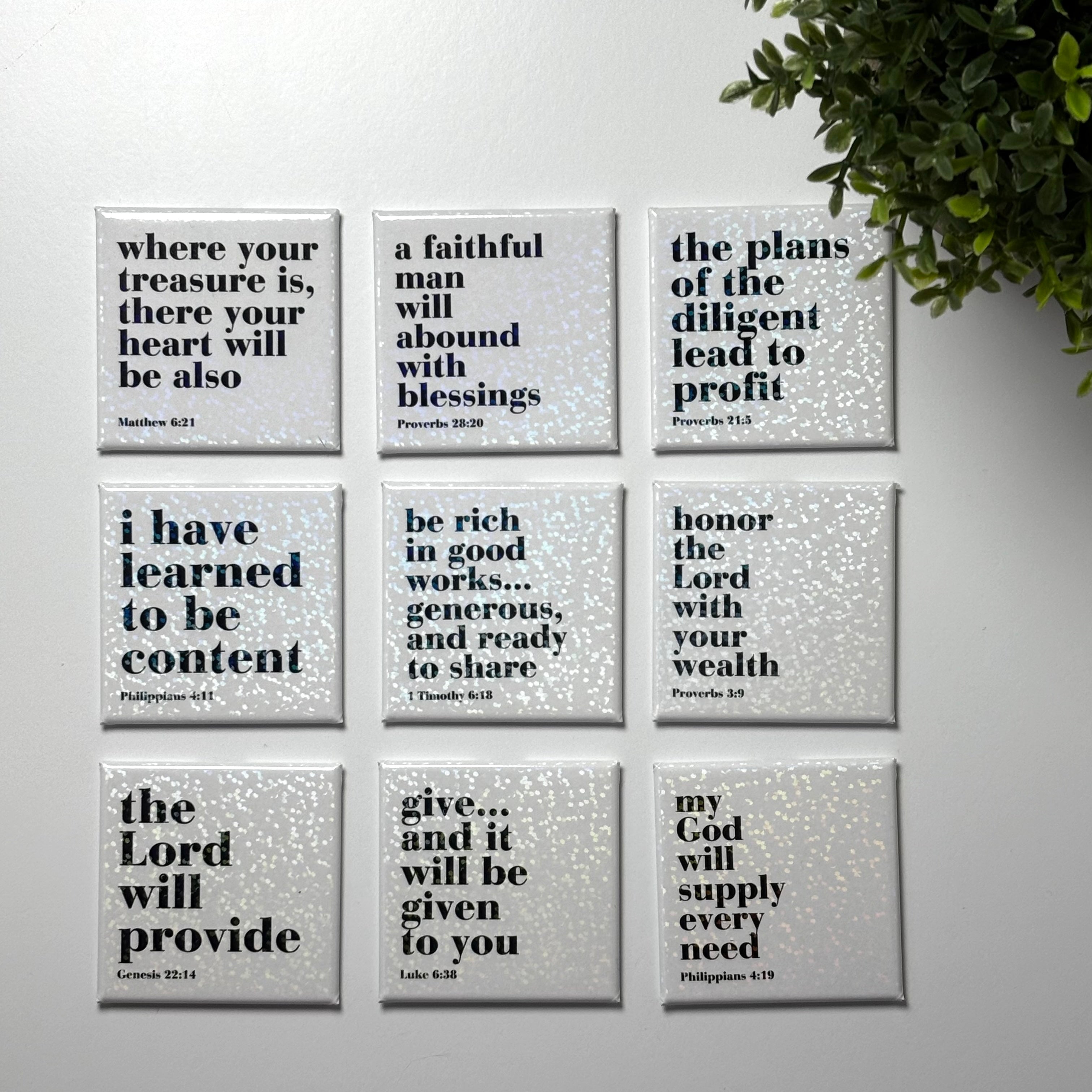Stewardship Magnet Set