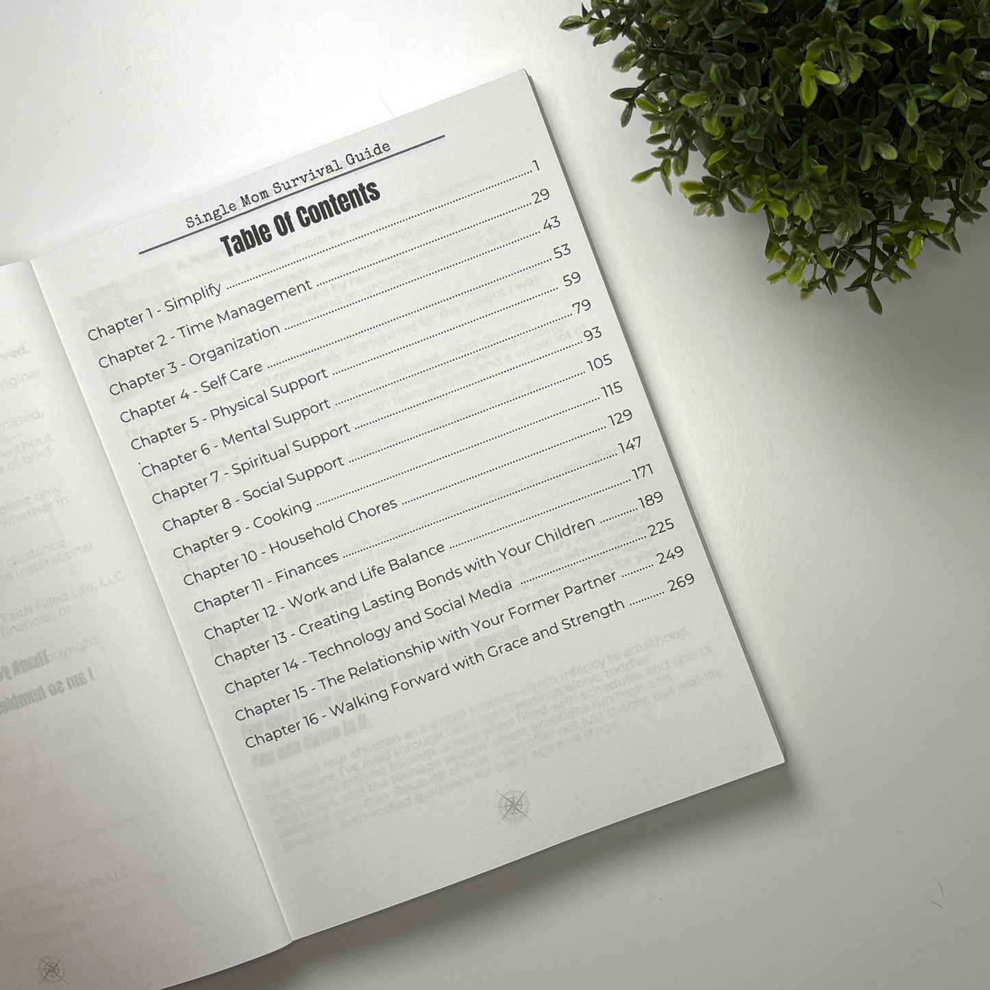 Single Mom Survival Guide Paperback Book